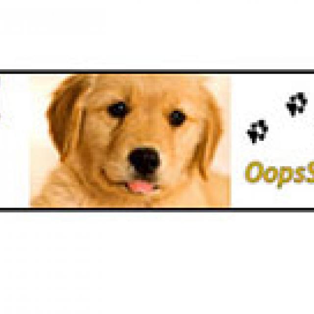 Oops Steam Cleaning Houston Tx Business Directory