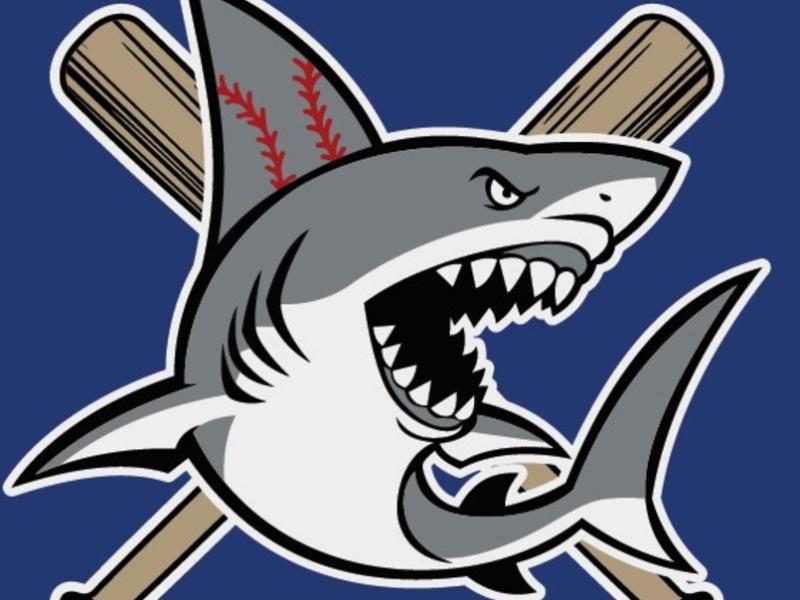 Sharks Baseball Academy Looking for Players - New Hyde Park, NY Patch