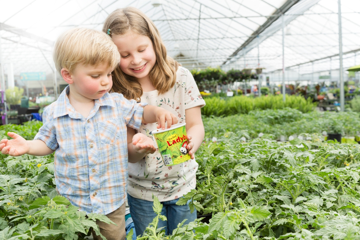 Pike Nurseries Annual Ladybug Weekend Charlotte, NC Patch